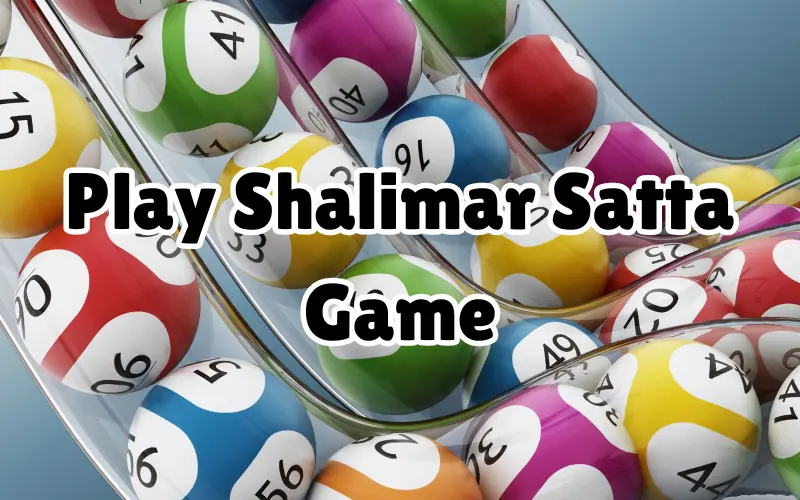 shalimar satta game play