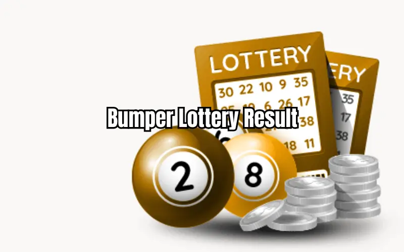 bumper lottery result